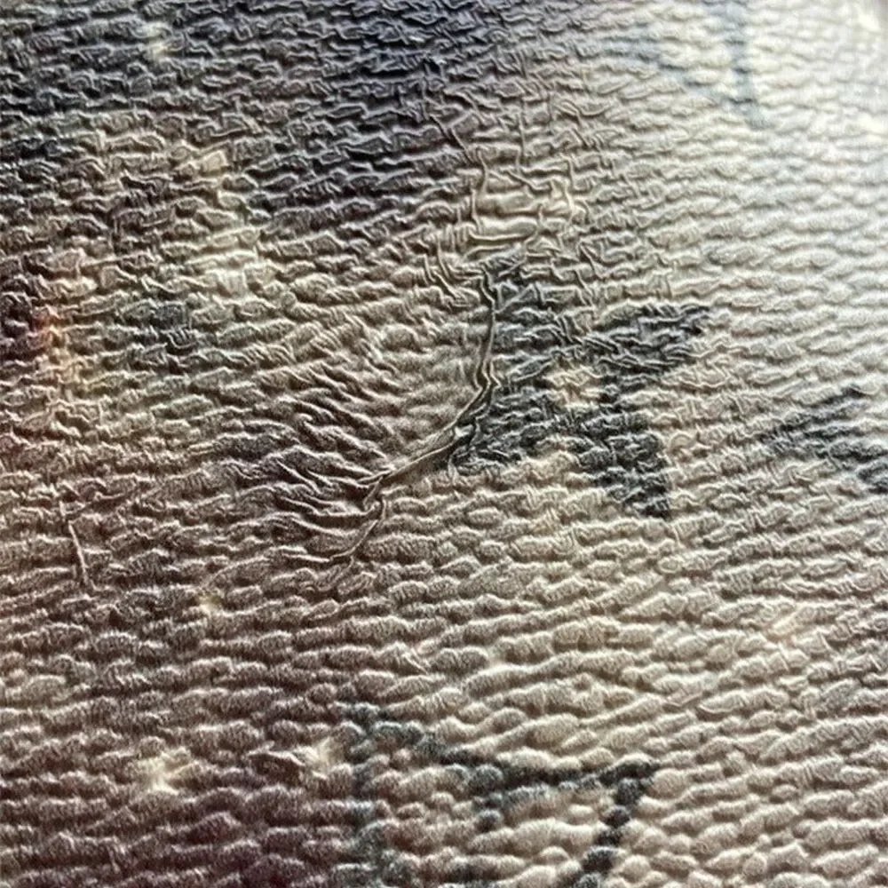 Louis Vuitton Portefeuille Brazza Long Wallet